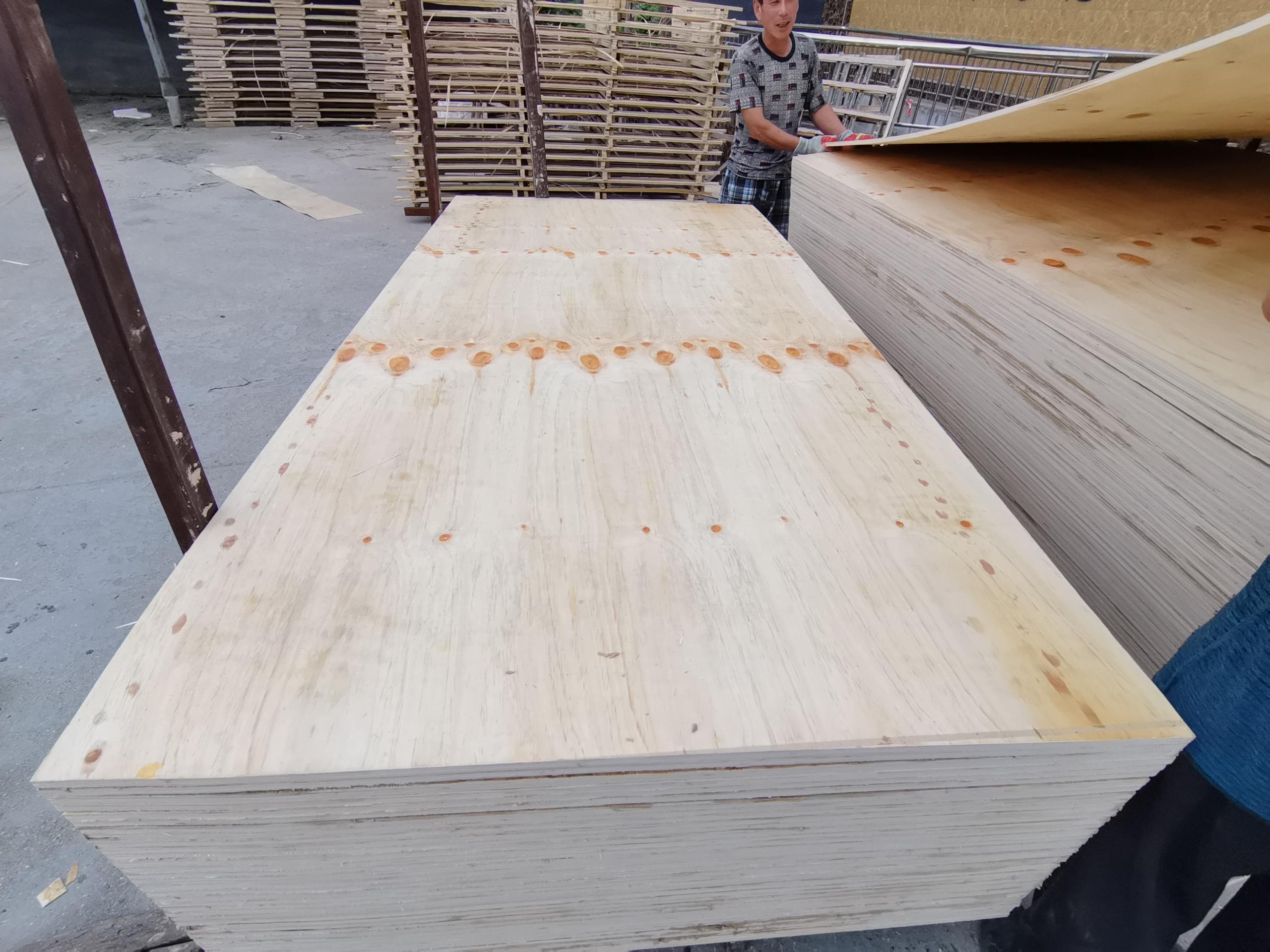 12mm CDX PINE PLYWOOD